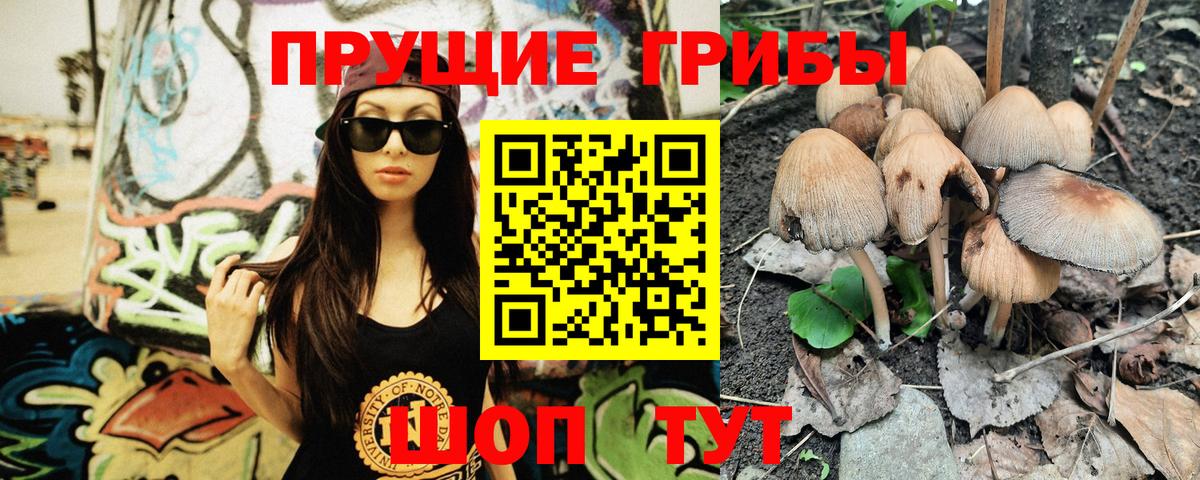 Псилоцибиновые грибы мицелий Ангарск