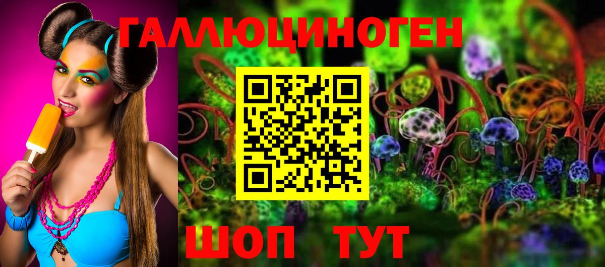 Галлюциногенные грибы Psilocybe  сколько стоит  Ангарск  Вход с VPN 